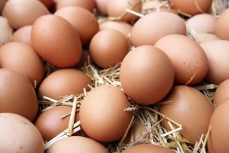 1768223939 YUMURTA 7