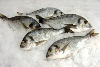 1768223947 SUURUNLERI 2