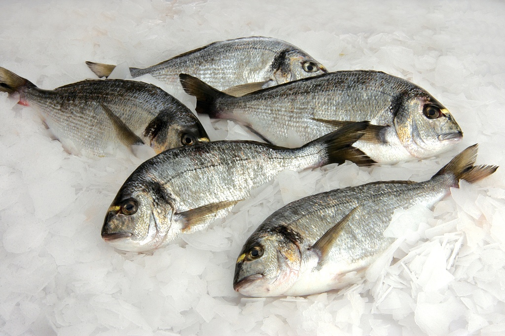 1768223947 SUURUNLERI 2