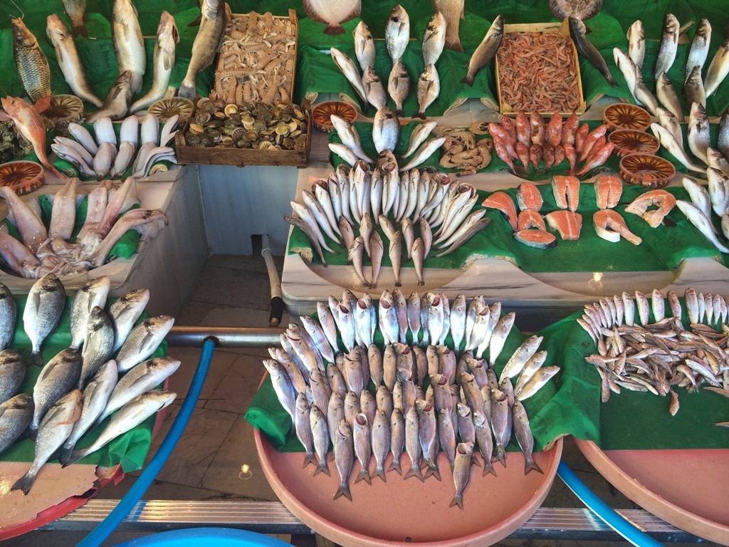 1768223948 SUURUNLERI 4