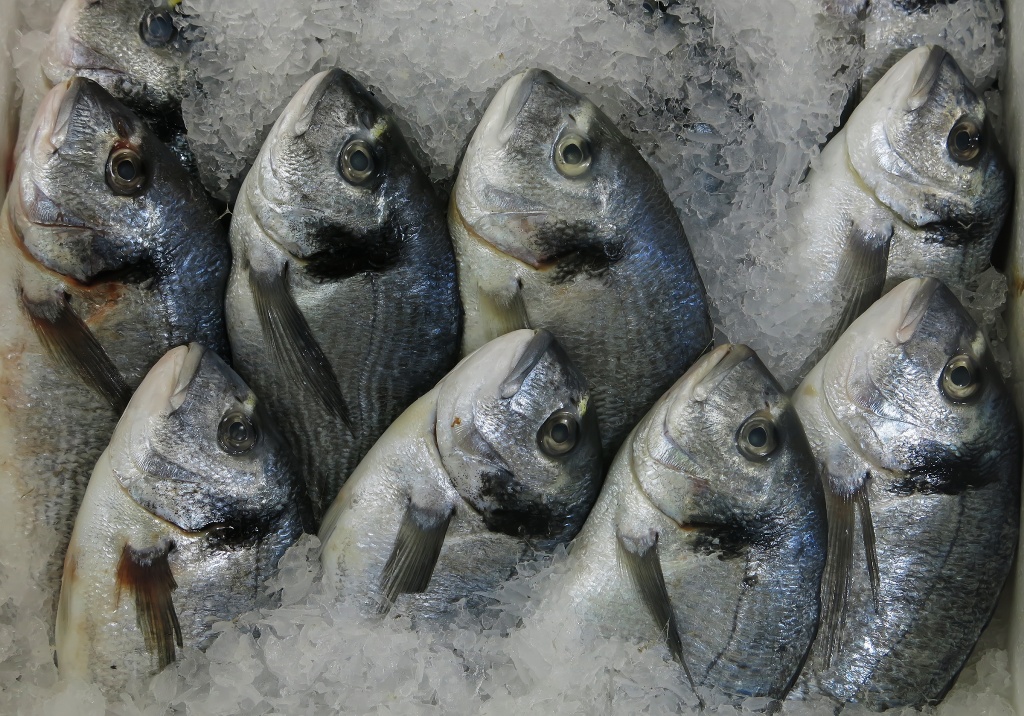 1768223953 SUURUNLERI 9