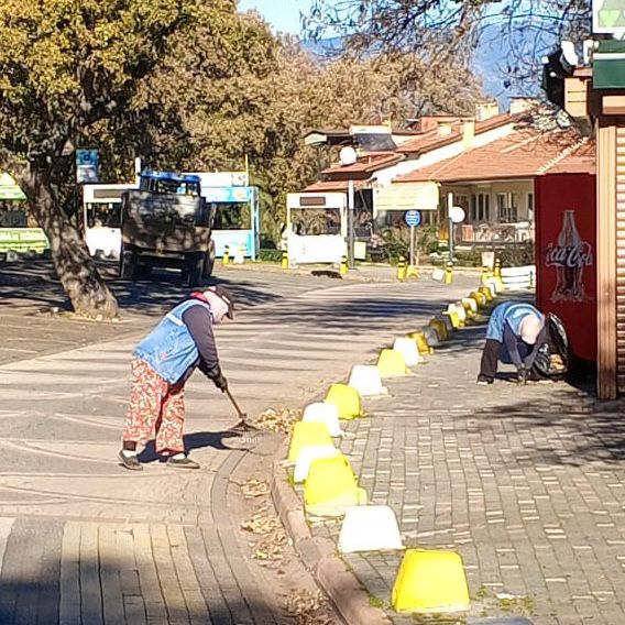 7d7f160e e1ba 4e37 81af bd7dd0e9cf09