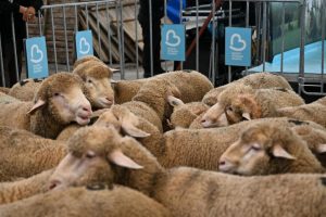 Bigadicli ureticinin yuzunu baskan akin guldurdu