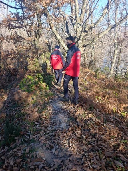 Buyuksehir belediyesi elif icin seferber oldu