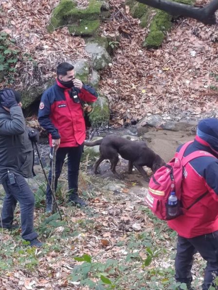 Buyuksehir belediyesi elif icin seferber oldu