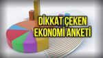 Ekonomi anketi