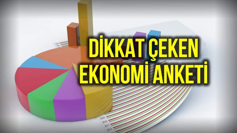 Ekonomi anketi