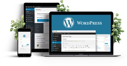 Wordpress